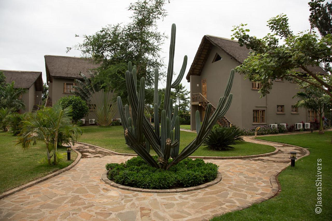 เวรู เวรู ริเวอร์ ลอดจ์ Villa Weru Weru ภายนอก รูปภาพ